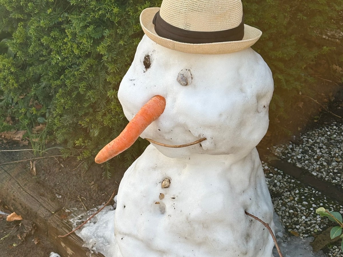 Despilfarro es un&nbsp;atraco