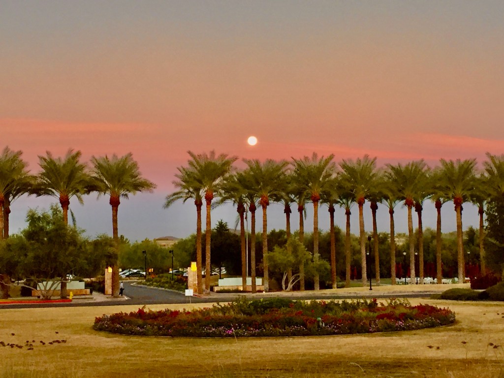 Diógenes el Cínico: el filósofo que vivía en un barril y su mayor enseñanza fue la&nbsp;libertad.